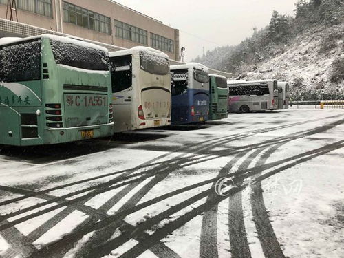 实时路况 元旦小长假首日 十堰高速东通行正常